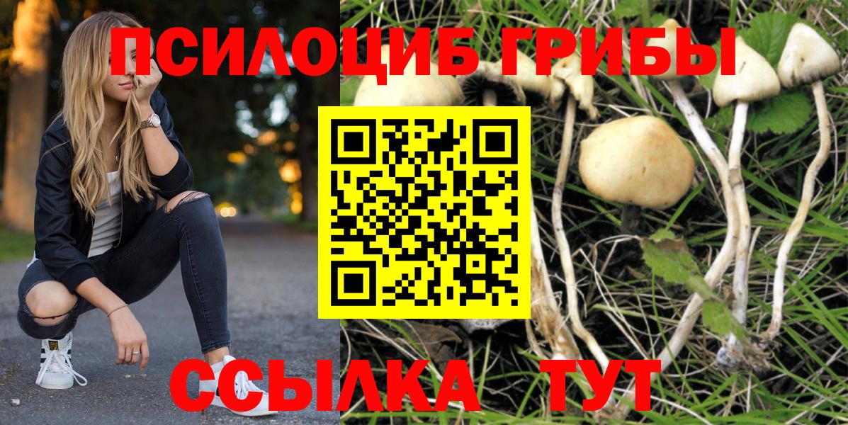 Псилоцибиновые грибы прущие грибы Ефремов