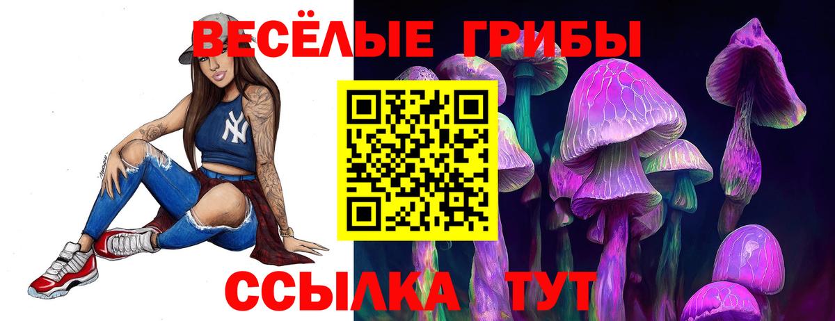 наркотики  Вход с VPN  Ефремов  Псилоцибиновые грибы GOLDEN TEACHER  Псилоцибиновые грибы MAGIC MUSHROOMS 